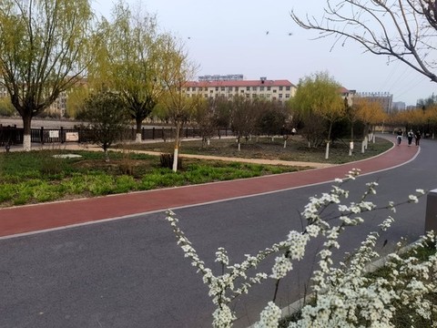 園林小路