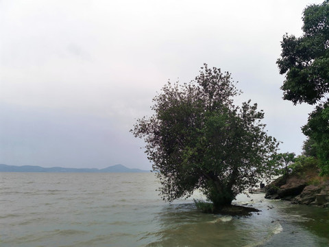 太湖