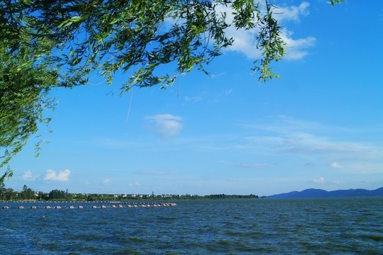 滇池濕地