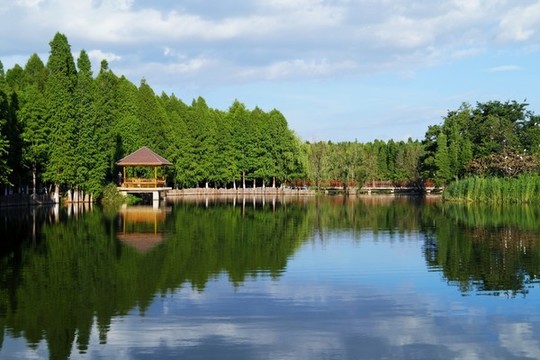 滇池濕地公園