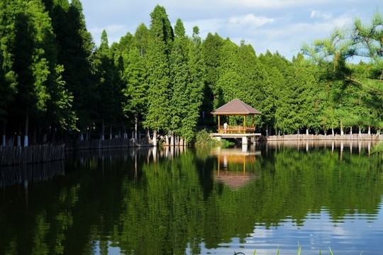 滇池濕地公園