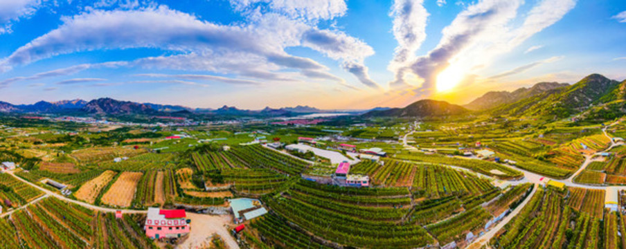 大澤山
