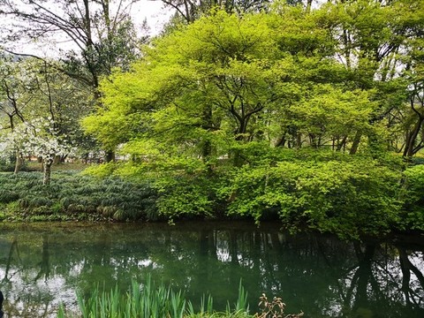 杭州西湖