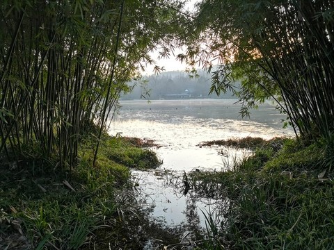 西湖