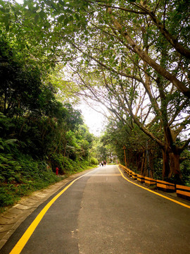登山綠道