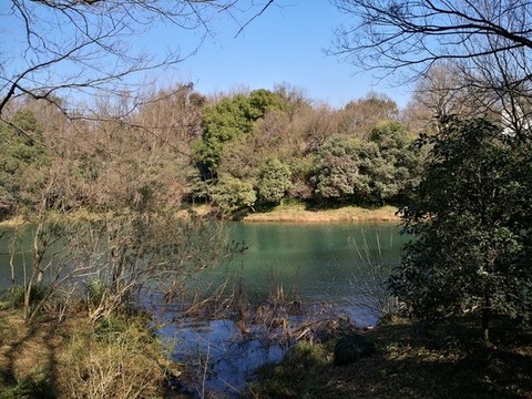 西湖浴鵠灣