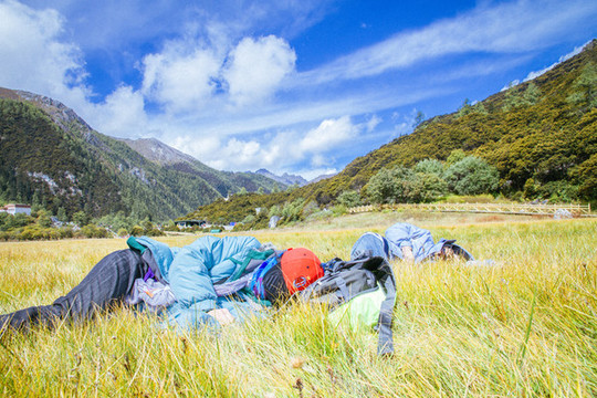 稻城亞丁的雪山和高原草甸