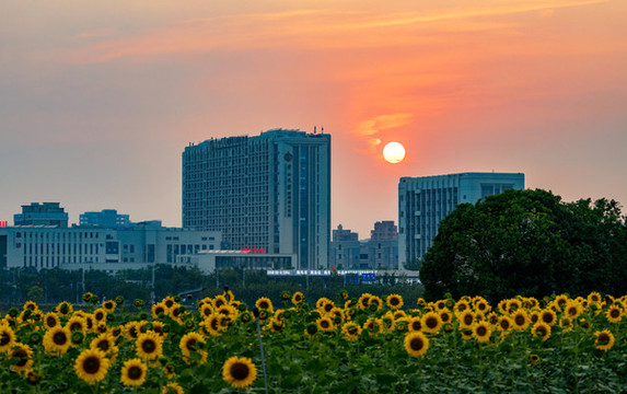 深圳光明小鎮(zhèn)歡樂田園
