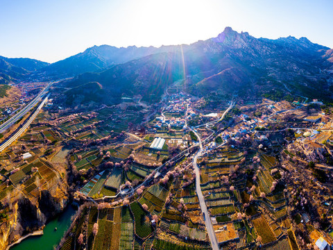 嶗山春天