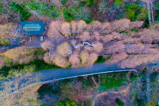 青島中山公園