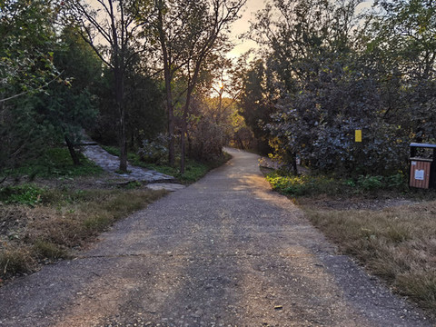 山間小路