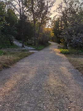 山間小路