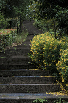 上虞龍山寧靜的上山路