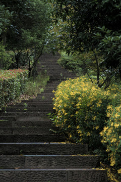 上虞龍山寧靜的上山路