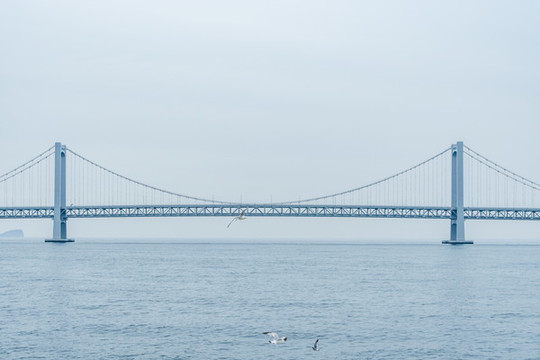 大連星海灣大橋
