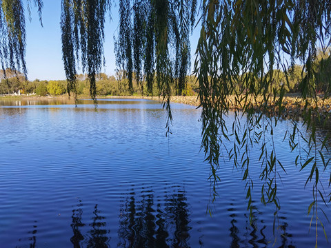 北京圓明園遺址公園湖景風(fēng)光