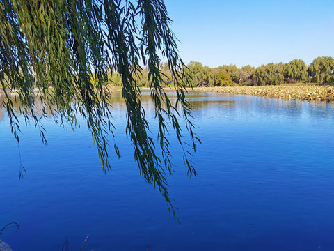 北京圓明園遺址公園湖景風(fēng)光