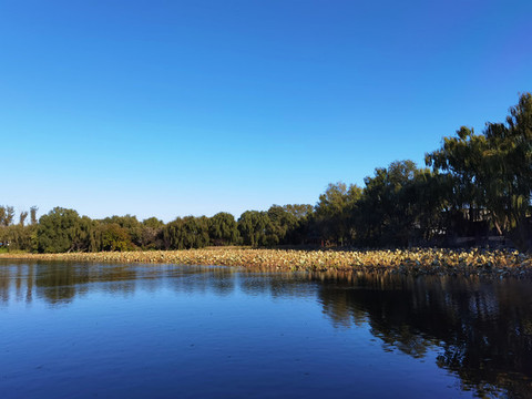 北京圓明園遺址公園湖景風(fēng)光