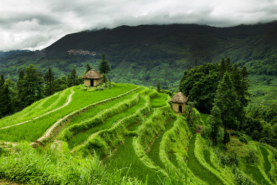 元陽(yáng)梯田