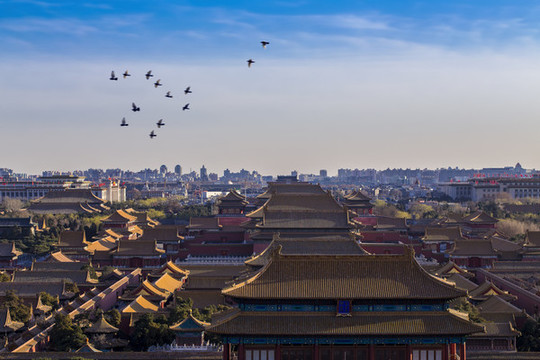故宮景色圖片