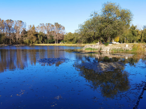 北京圓明園遺址公園風(fēng)光