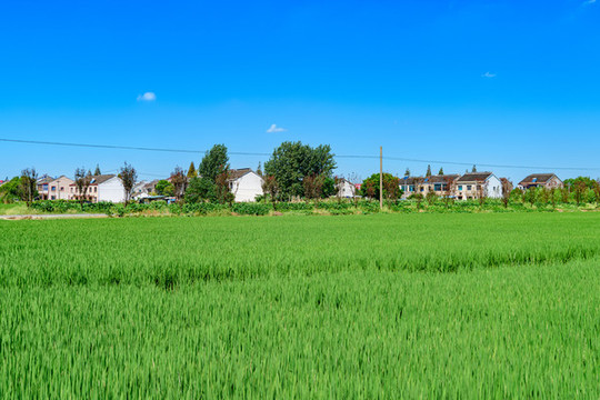 美麗田園鄉(xiāng)村風(fēng)光