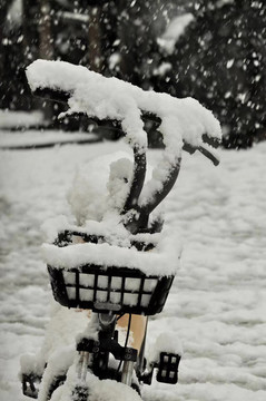 被雪覆蓋的單車