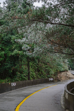 霧凇
