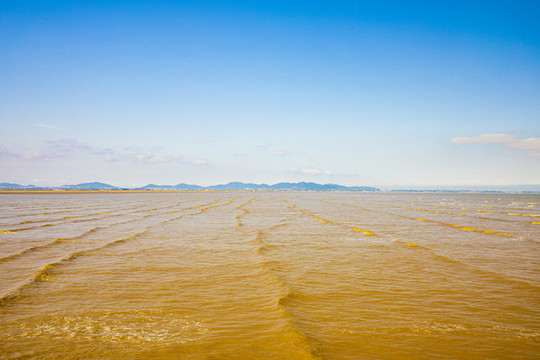金色海灘