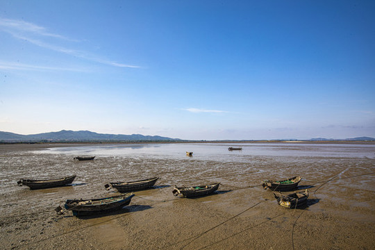 金色海灘