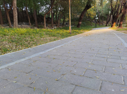 小路