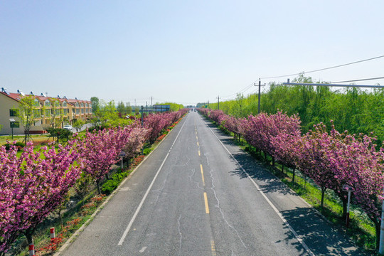 鄉(xiāng)村公路