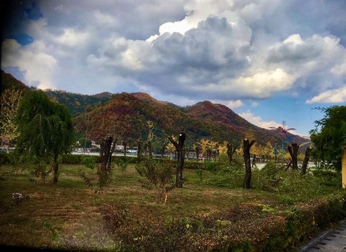 秋氣己滿樹干孤