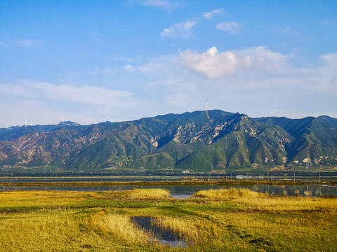 鹽湖濕地