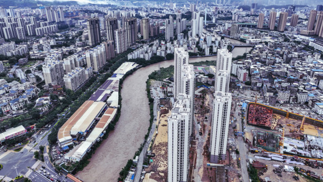大水龍津河