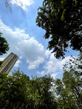 仰望天空
