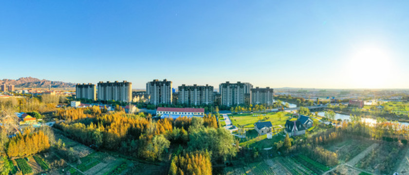 張家樓