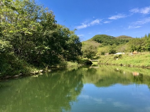 藍(lán)天綠蔭入池塘
