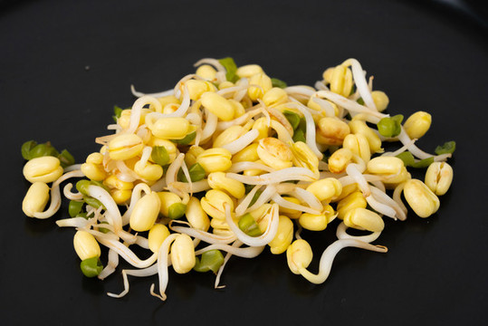 豆芽