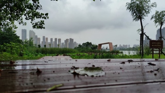 城邊的雨中景