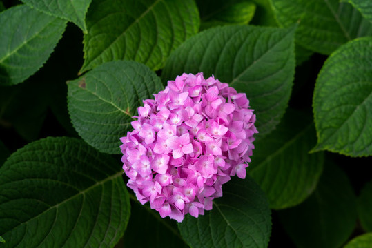 無(wú)盡夏特寫(xiě)