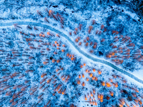 嶗山雪景