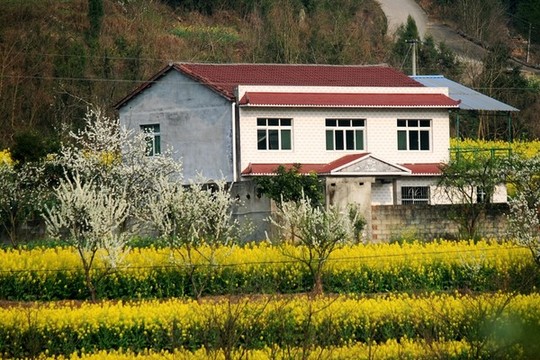 新農(nóng)家