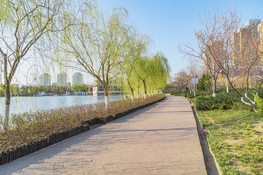 戶外公園道路景觀