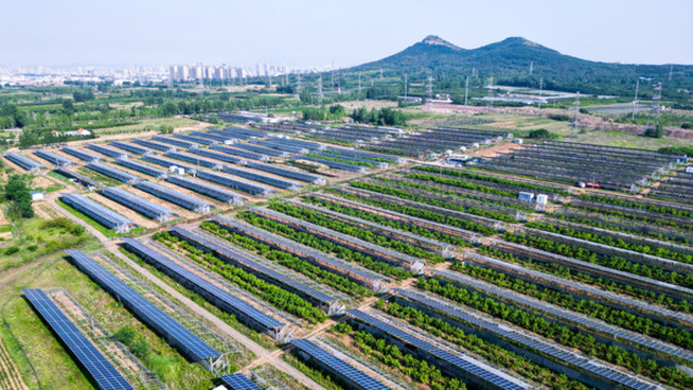 光伏農(nóng)業(yè)大棚