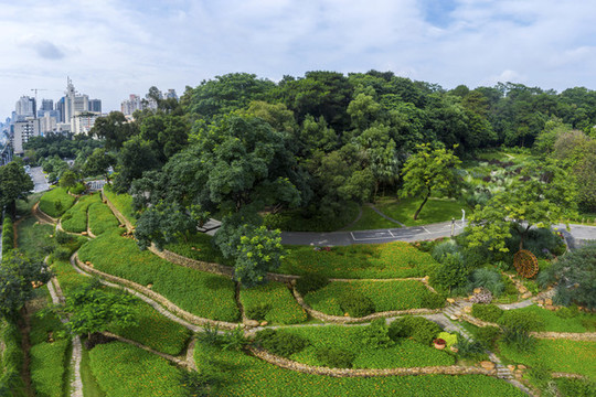 人民公園流花菊園