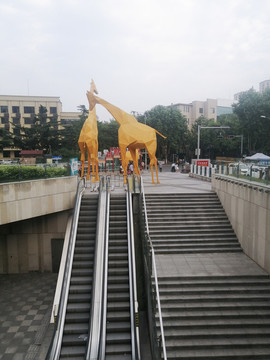 長頸鹿