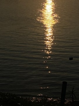 夕陽