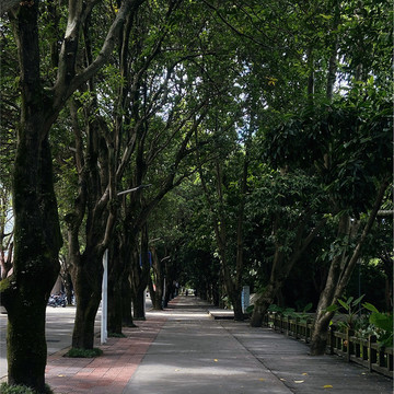 校園一角