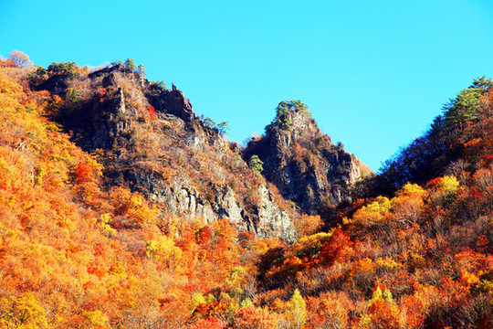 奇峰秋色